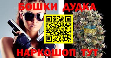 МДПВ Ливны